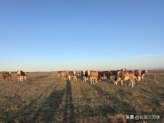 北上大草原第8站：贡格尔草原生活体验一天