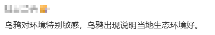 密密麻麻！山西一地乌鸦满天飞，地震前兆？