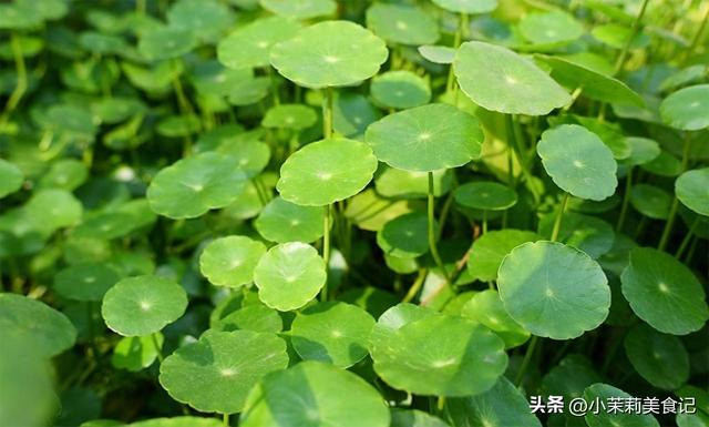 8月7立秋，今年立秋有3个好消息，2个坏消息，2个要注意，早了解