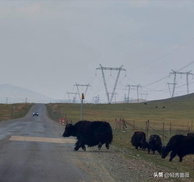 夏都西宁，最值得游玩的景点推荐