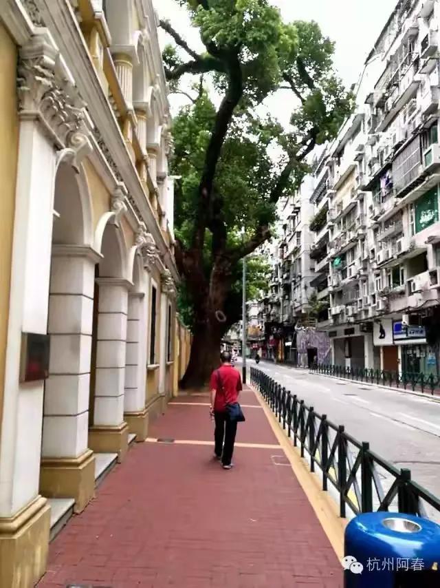 我喜欢的那片澳门老城区 …