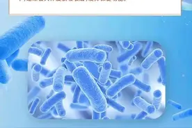 2024年功能性食品的7大发展趋势图片