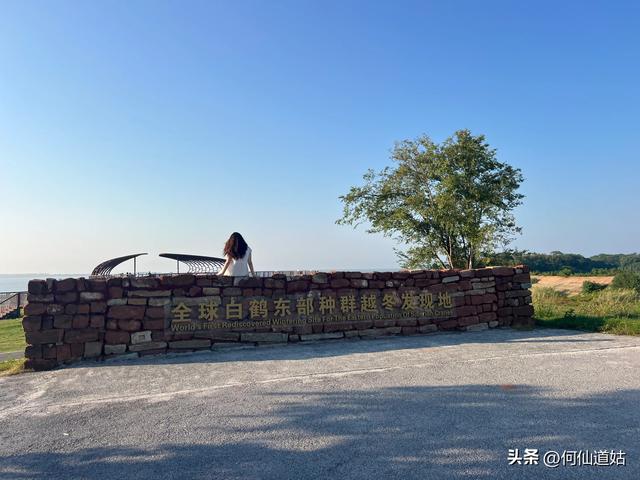 吴城狮子山观鸟