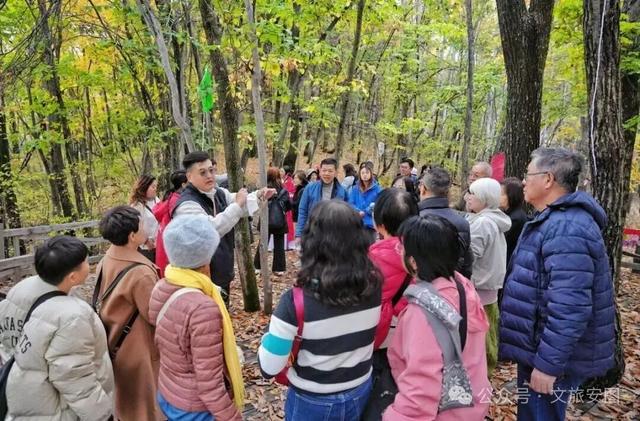 长白山第一村：赴一场秋日“参”宴