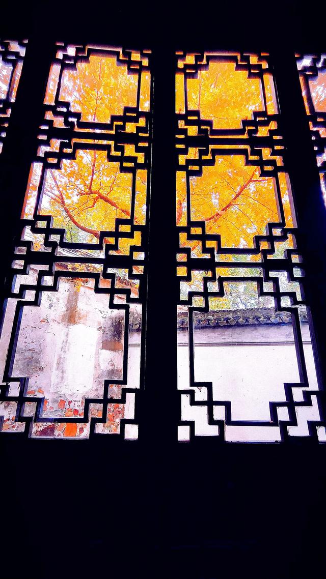 银杏铺金时，赴一场惠山古镇的秋约