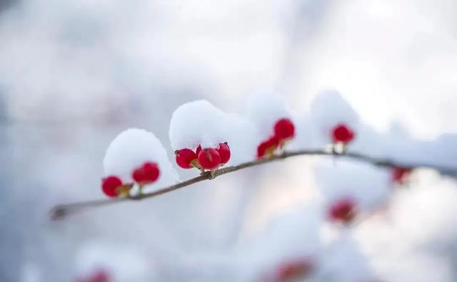 “最怕小雪是晴天”,今日小雪,小雪晴有啥预兆?
