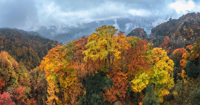 断航不扫秋兴！5个国内"熟透秋景"平替日本，规模颜值双碾压！