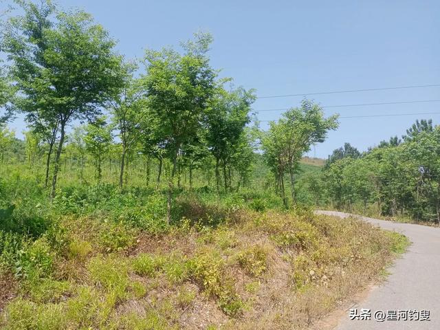 双苑、上国安寺小环线