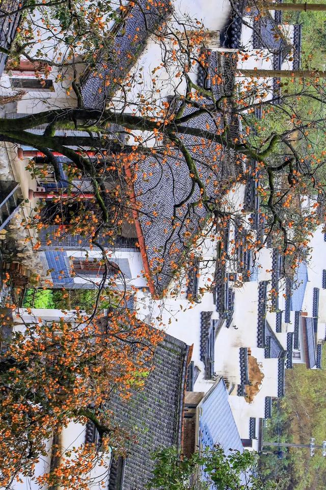 河南秋景大片，来了！