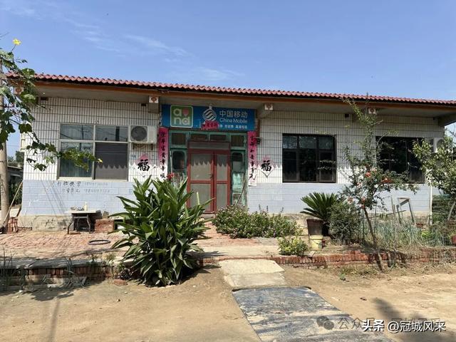冠县乡韵·定远寨镇前杏园村