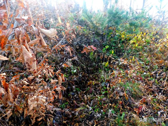 明长城本溪段全程探寻