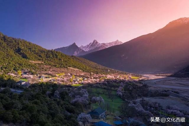 西藏这个地方，即将火爆！真正定义了什么是顶级春色！