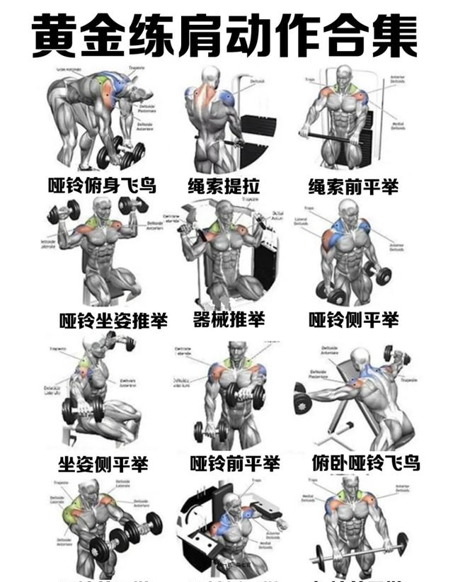 中老年人健身，为什么更需要增肌锻炼？