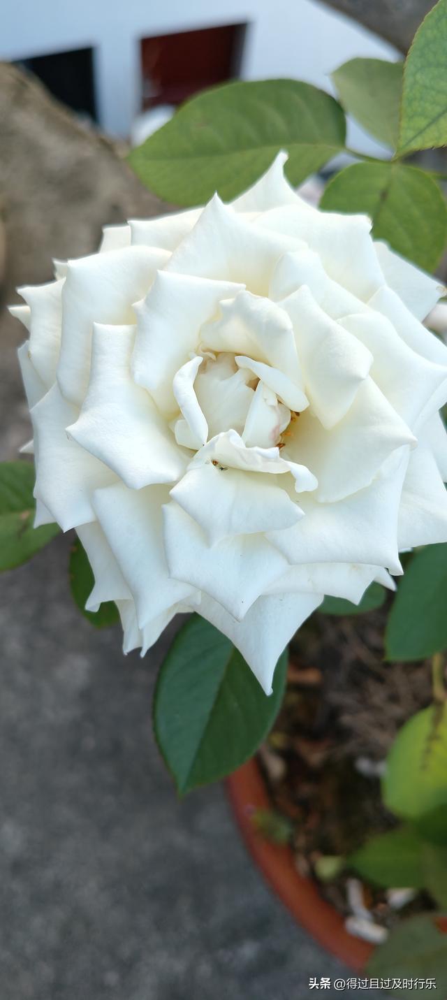 婺源游记-01慢品人间烟火