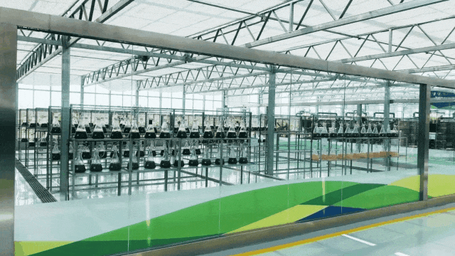 央视主持人来打卡！这里究竟有多好玩？