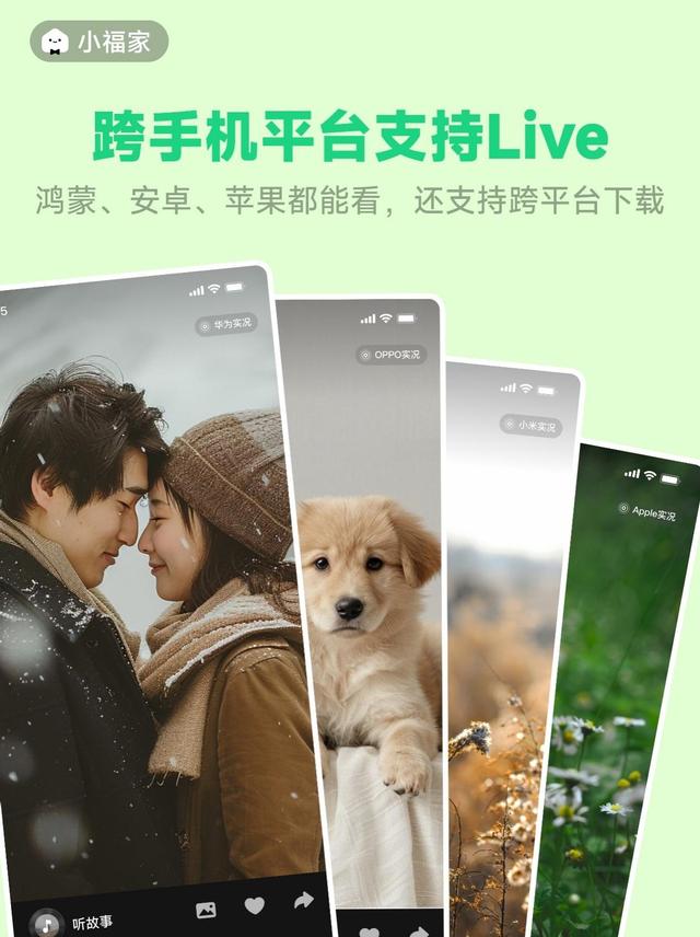 第一批鸿蒙开发者激励，有人真的领到钱或福利了嘛？