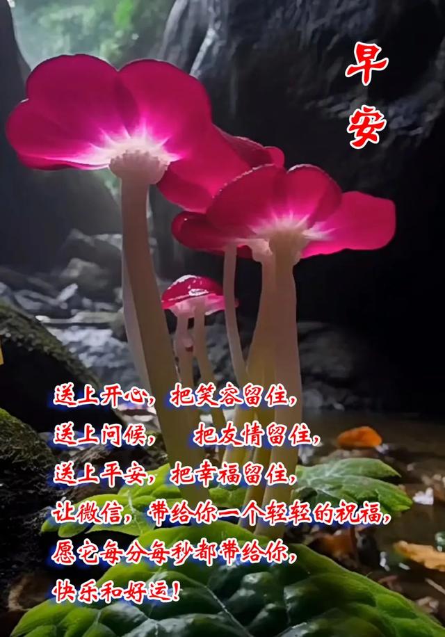 每日100句吉祥祝福语，最美的问候语大全，祝福朋友们快乐吉祥