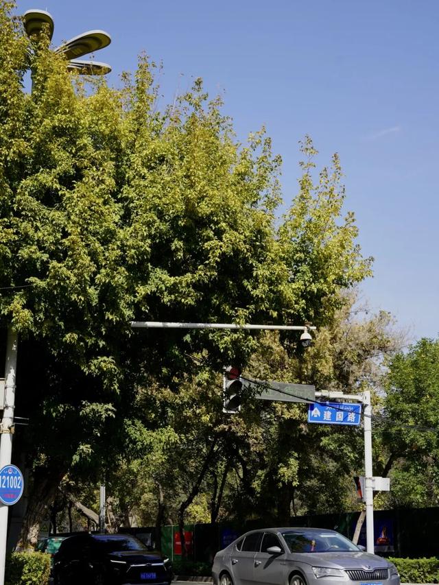 乌鲁木齐“老东门”，如今是什么样子？