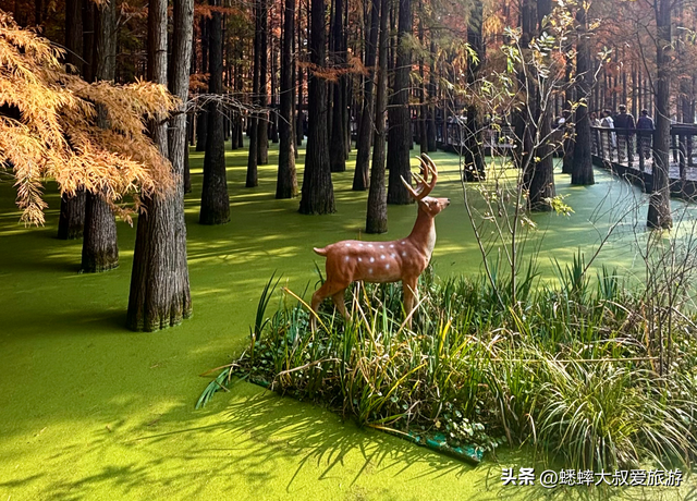 杭州“油画版景点”爆火，一天5万人次，可喂鹿，划船，走栈道！