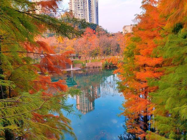 藏不住了，宜昌变身秋日调色盘！这5个绝美景点不去可惜！