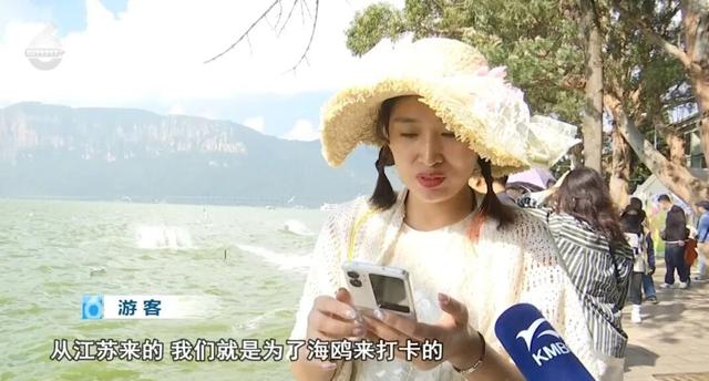 昆明“顶流”，真的来了