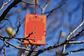 古代的新婚夫妻，第一夜都要行“合卺之礼”，“合卺”是啥意思？图片