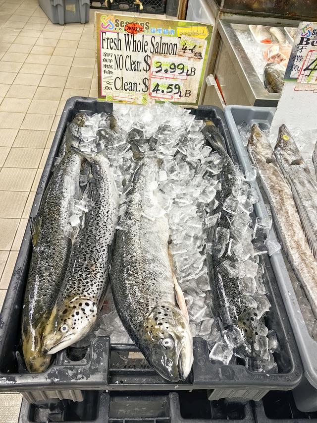 加拿大——我的境外旅游第七站（续六，多伦多购物餐饮篇）