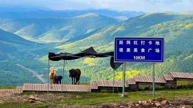 东北地名太 "野"，大裤裆沟擦屁股岭出圈，专家揭秘网友直呼太真实