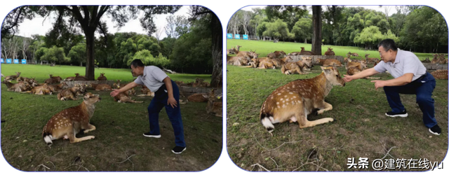 国务院原秘书俞梅荪 ‼ 寻鹿记