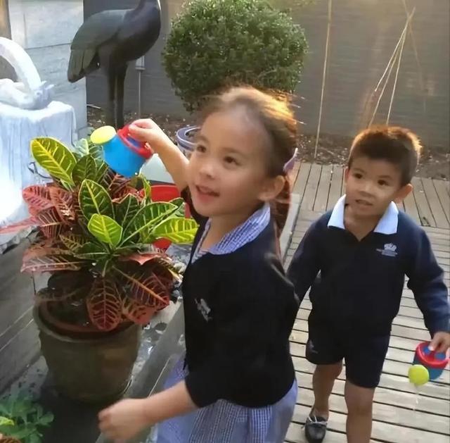 刘涛女儿17岁气质绝了，这才叫真正的豪门富养