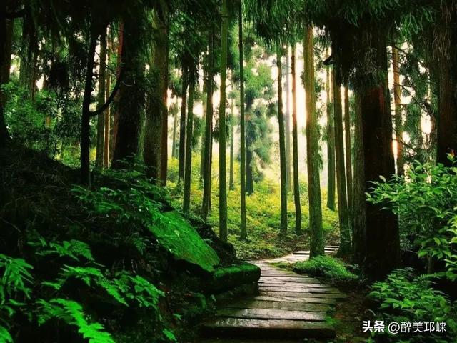 聆听邛崃丨活力邛崃：当自然画卷遇见运动诗篇