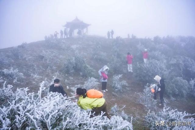 平天山美成了银装素裹的童话世界！贵港人：冷到发抖也要去