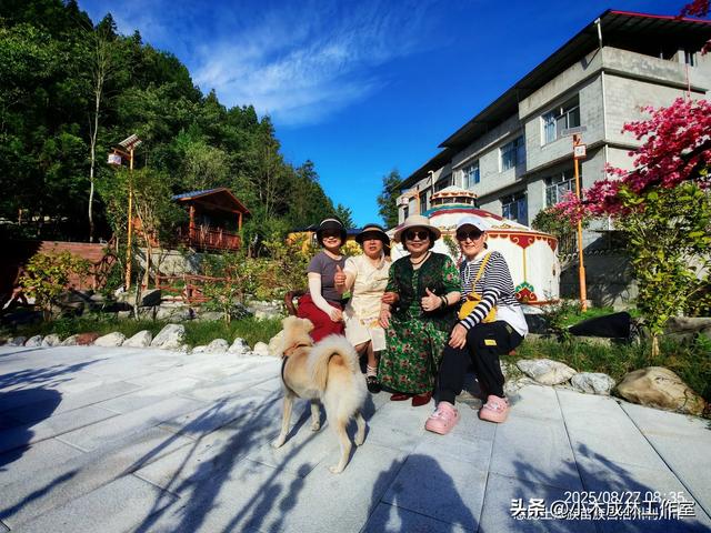 凉城利川白鹊山:民宿佼佼者的“凉”心之选与“热”切期盼