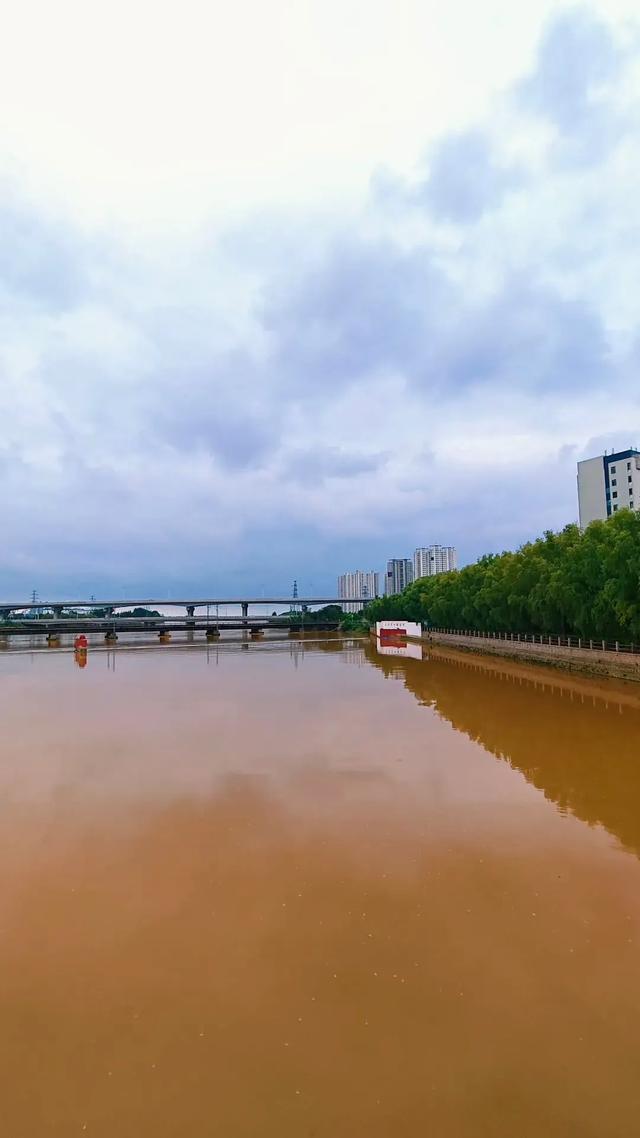 一场大雨后，秦皇岛汤河变成这样...
