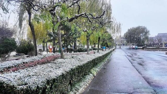 广饶今冬初雪，如约而至！太梦幻了！