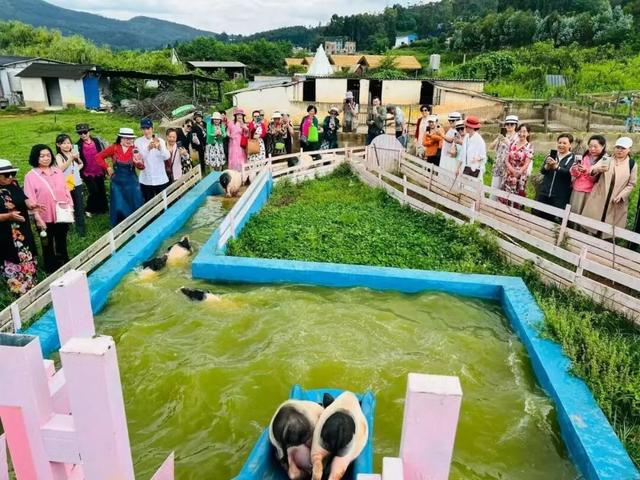 告别人挤人！花海、古寺、采摘……就去昆明周边这个“宝藏地”→