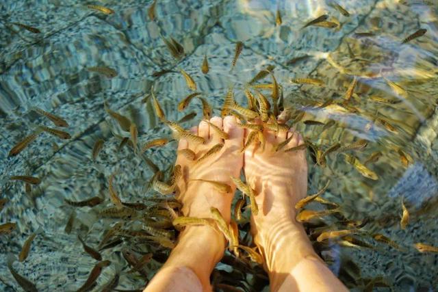 广东的冬天，就该泡在温泉里！新兴的禅意之旅，含食宿，超赞