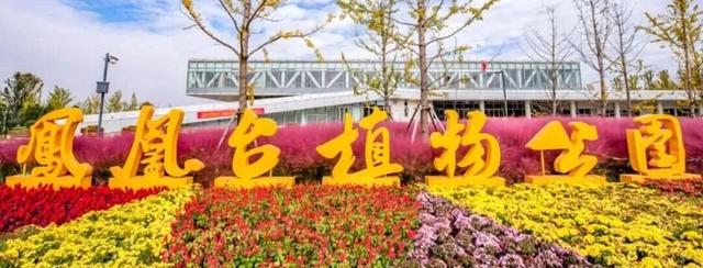 这个国庆来济宁！古运河边走一走，邂逅一城诗意风光