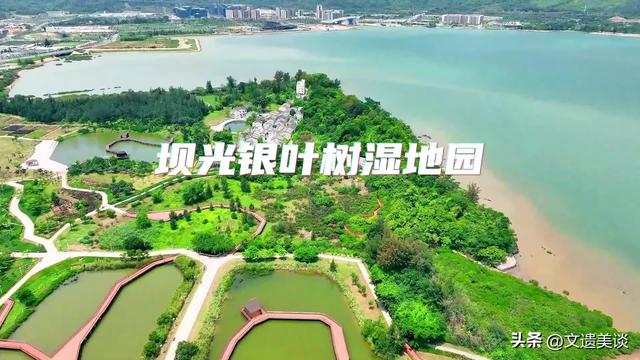 谁说深圳无古色?两座古城+四条古墟+十个古村,鹏城古色别样美