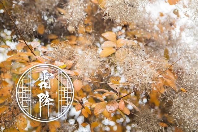 “上午霜降，冻死老牛；下午霜降，单衣过冬”，今年霜降在几点？