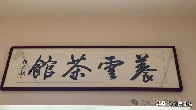 湾里揽胜:蟠龙峰下茶养云