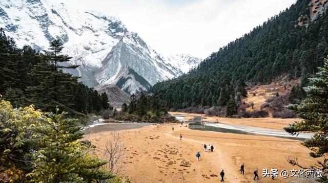 哇塞！西藏这里美出天际！冰川彩林，美成仙境！