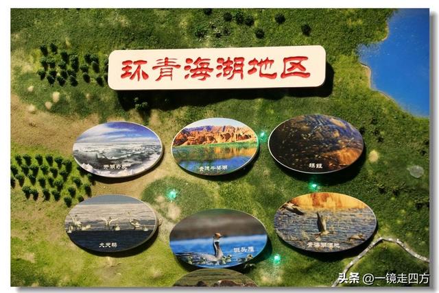 青海省博物馆里的“大美青海”成就展