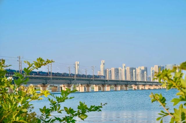 临沂，到底骗了多少人？居然拥有10个“世界第一”！