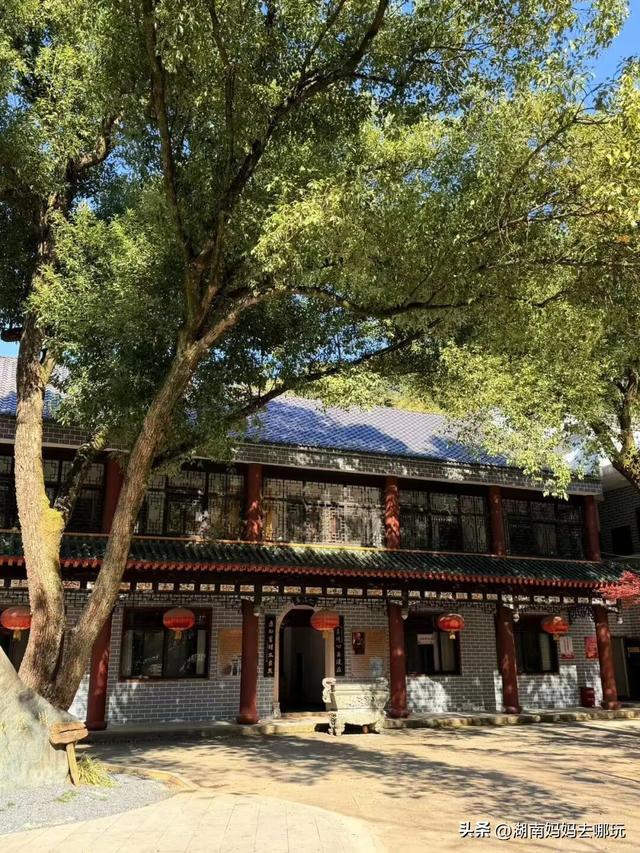 遛娃休闲两不误，在长沙“小禾木”邂逅12月初的灿烂风光！