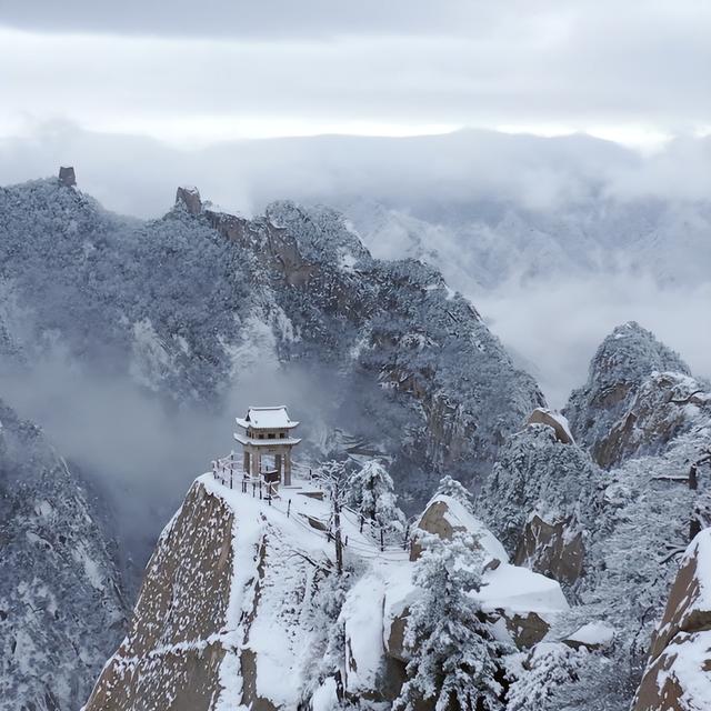 雪遇华山・福利就位｜这份优惠指南别错过