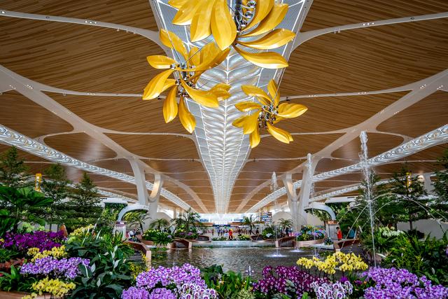 广州白云T3航站楼启用：全国最大单体机场诞生，岭南花城新地标