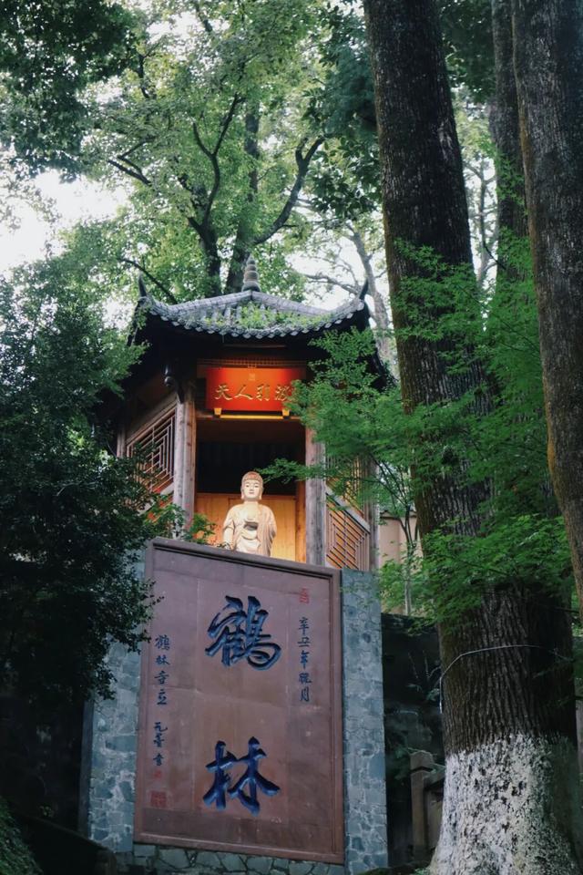 周末就冲！亲测3条被严重低估的徒步线，林海吸氧峡谷石窟！全部免费最快40min飙拢！