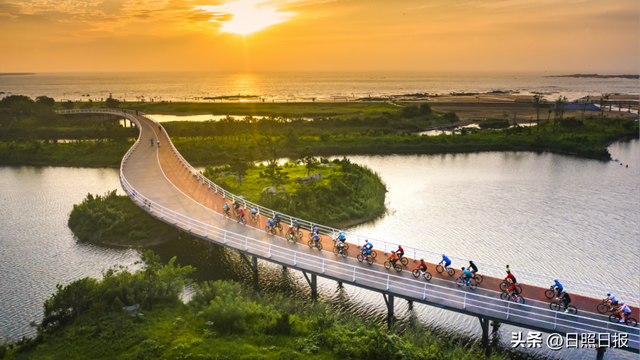 全球榜！中国榜！日照入选
