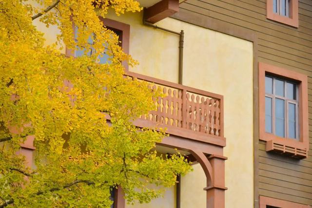 太美了！金堂这些地方值得一去